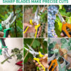Garden Pruning Shears 3 Pack Gardening Shears Garden Scissors Stainless Steel Plant Flower Scissors Clippers Pruning Shears tijeras de jardinería