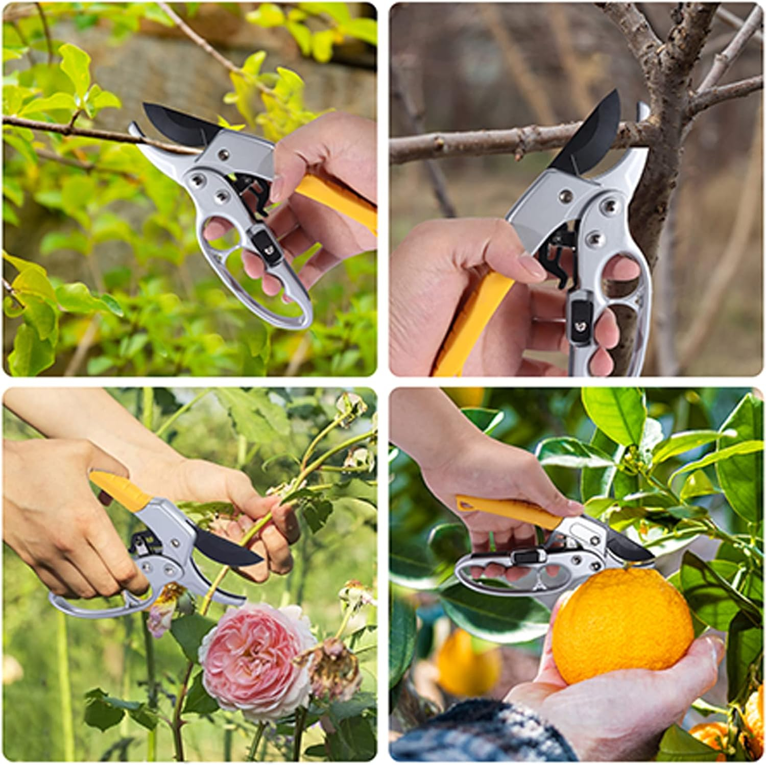 Premium Germany Pruning Shears, Work 3 Times Easier, Pruners Heady Duty, Sharp Garden Clippers Cut Fresh Flower, Hedge, Herb, Indoor Plants, Gardening Tools Scissors, Arthritis Weak Hand Snips